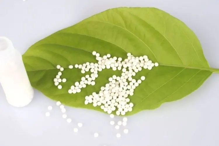 Os medicamentos homeopáticos
